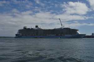 Auckland_Ist_nov (44)